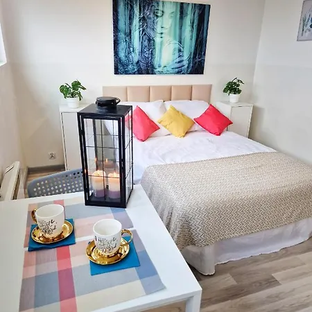 Central Studio Apartments Apartment *