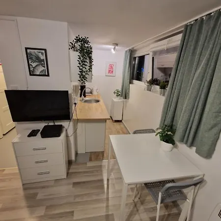 Central Studio Apartments Apartment