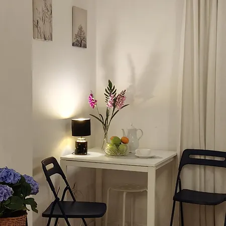 Lejlighed Central Studio Apartments *